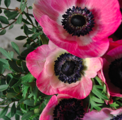 Capture d’écran 2016-06-16 à 15.38.07